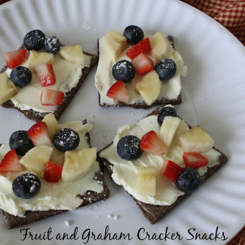 Fruit and Graham Cracker Snacks